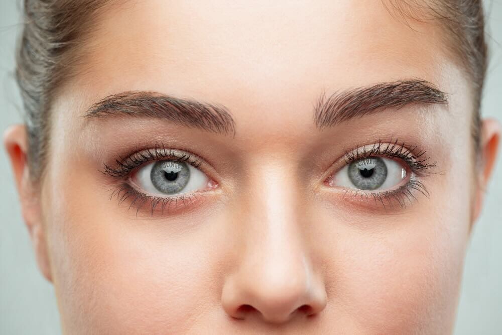 Retina Nedir?