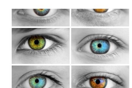 Göz Renkleri İsimleri
