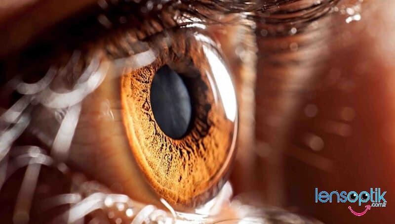 Göz Kuruluğu Tedavisinde Gözyaşı Damlası Kullanımı