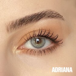 Hypnose Yearly Numarasız - 31