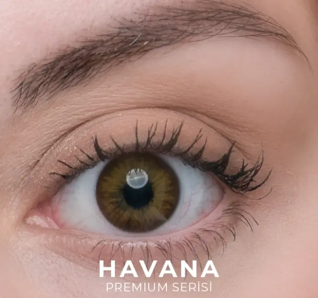 Labella Premium Aylık Numaralı - 6