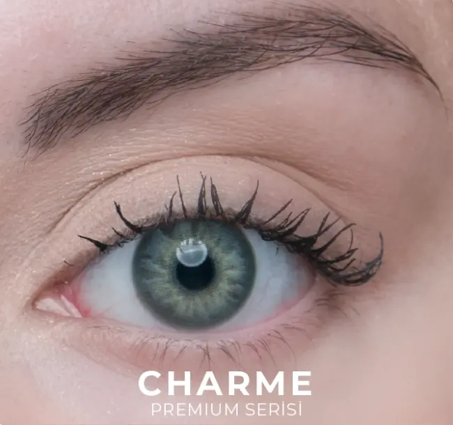 Labella Premium Aylık Numaralı - 12