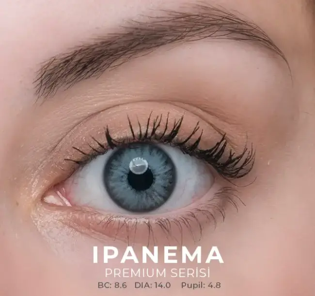 Labella Premium Aylık Numaralı - 6