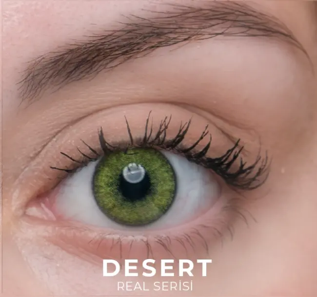 Labella Real Hareli Aylık Numaralı - 6